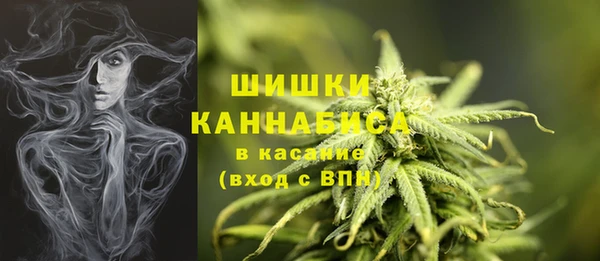 шишки Покров