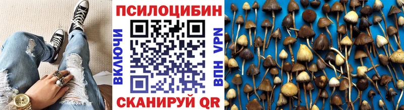 Псилоцибиновые грибы мицелий  мориарти как зайти  Палласовка 