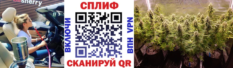 Бошки марихуана VHQ  мориарти как зайти  Палласовка 